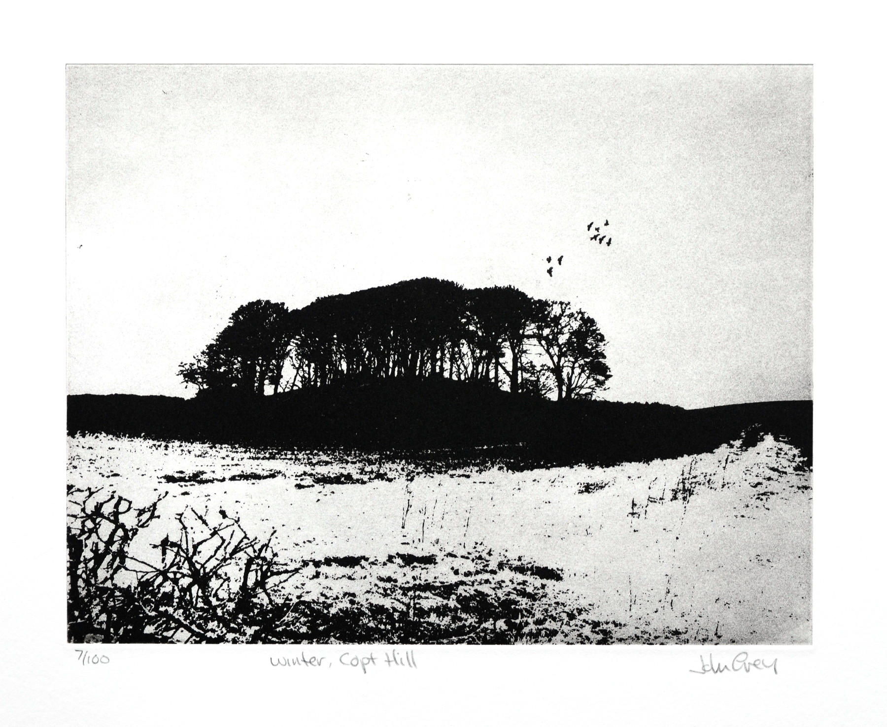 Winter, Copt Hill