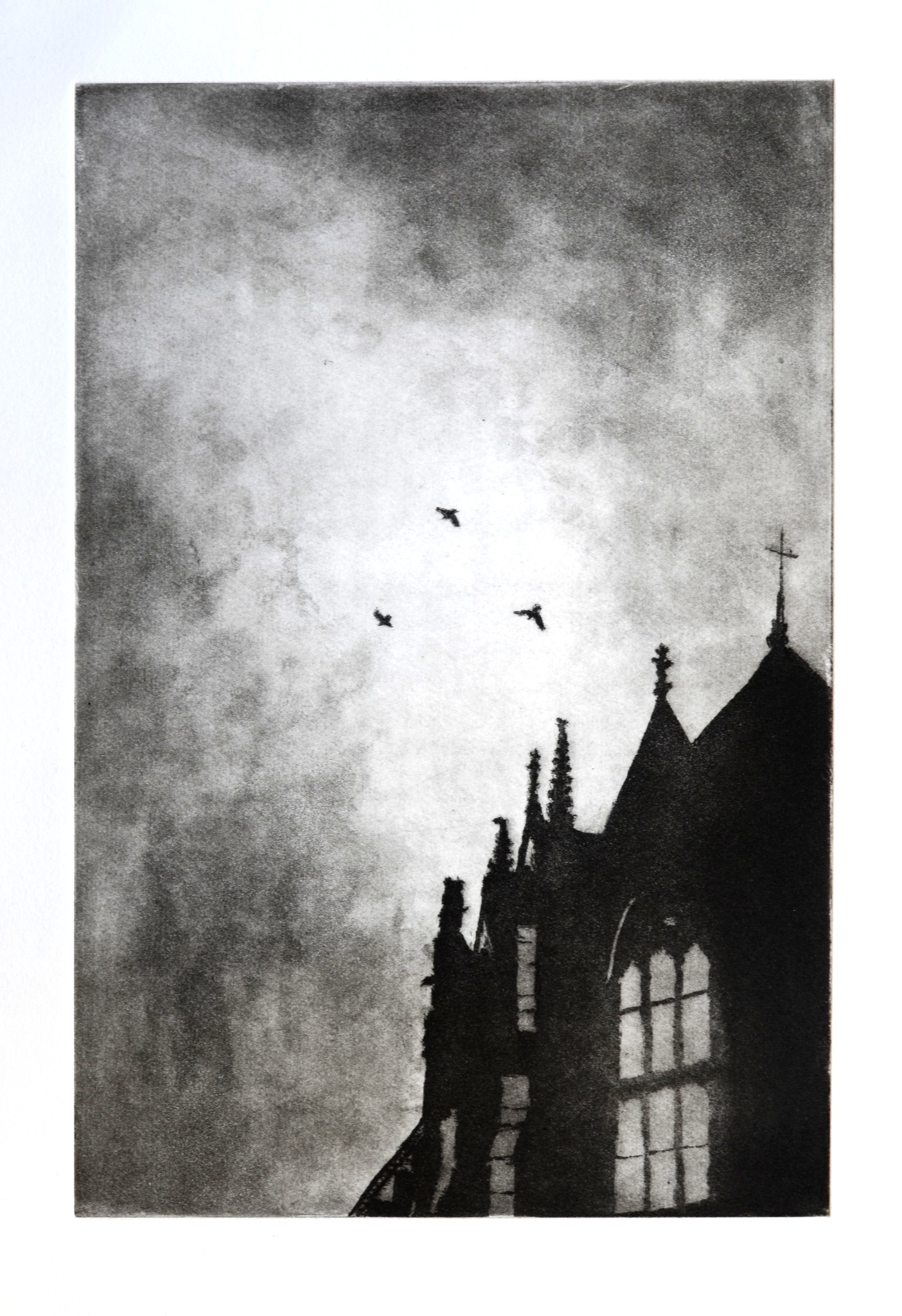 Ushaw Jackdaws