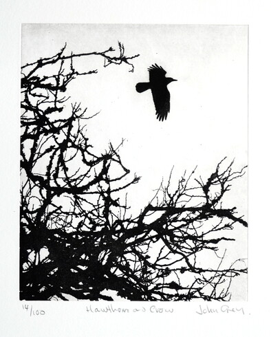thumbnail of etching of Hawthorn and Crow